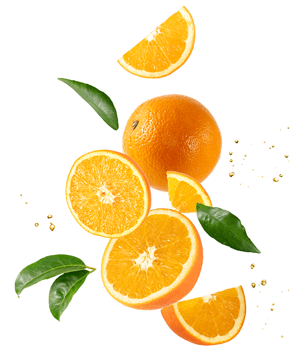 Orange und Orangenscheiben und Blätter