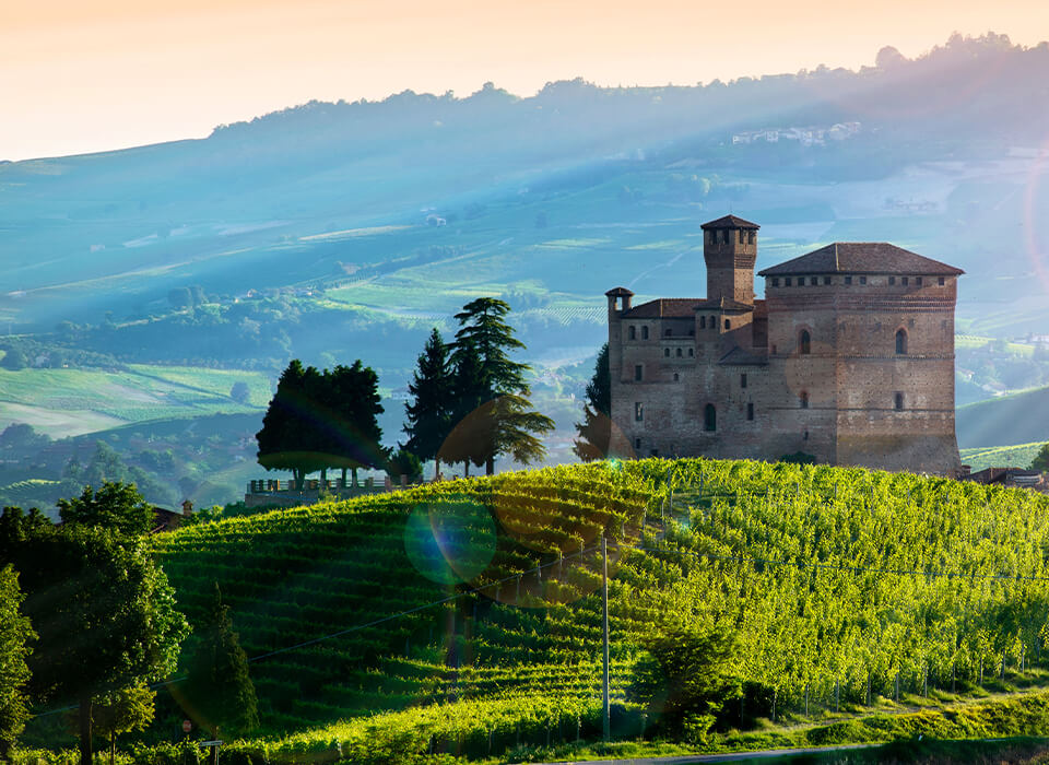 BAROLO DOCG SILVIO GRASSO