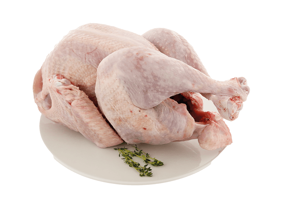 Ganze Trute aus Frankreich