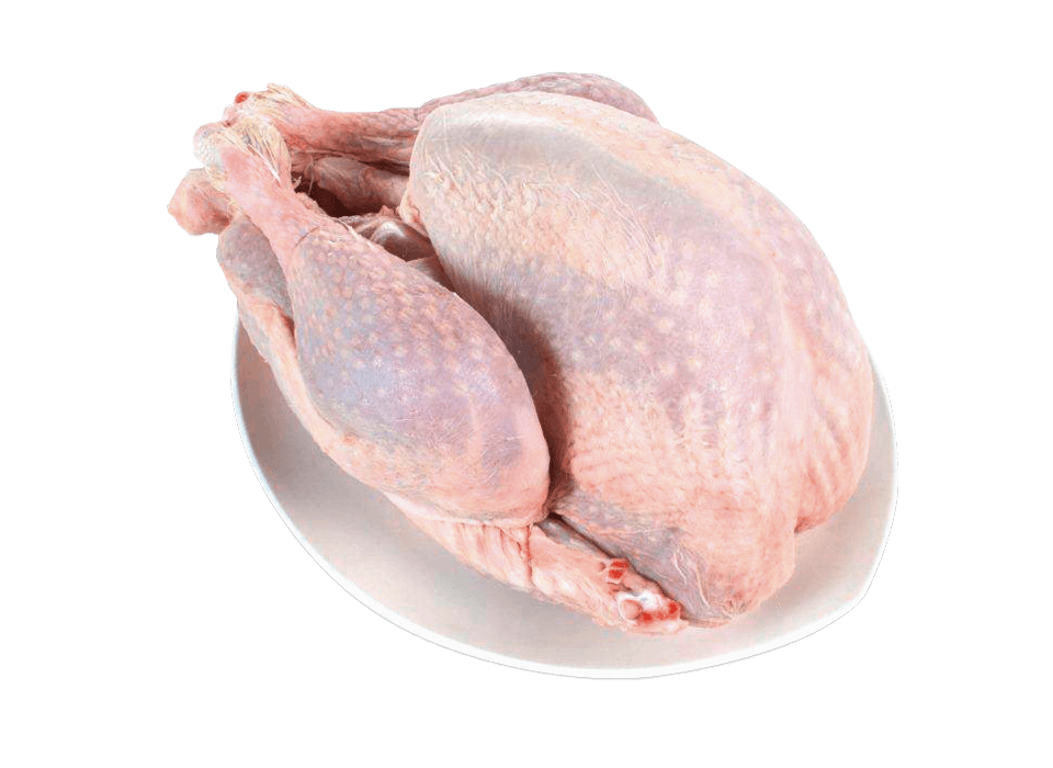 Ganze Trute aus Frankreich