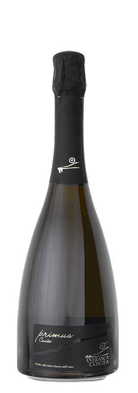 FRANCIACORTA PRIMUS<br />
BRUT DOCG 