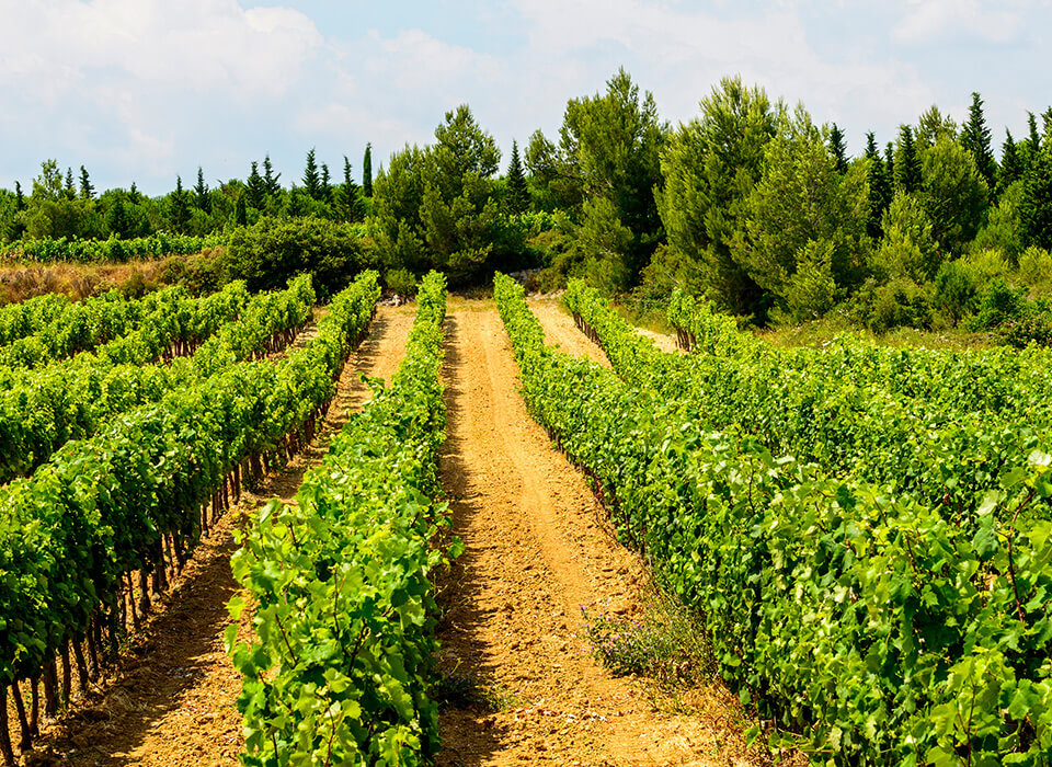 JOHANNISBERG TSCHANGERANG